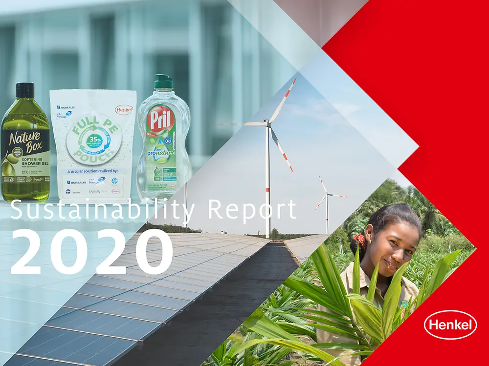 2020年度可持续发展报告 (封面)