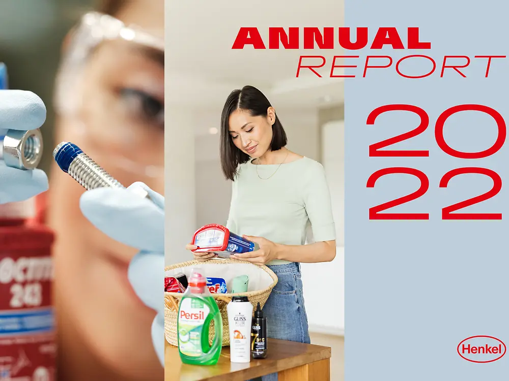 2022年年度报告 (封面)
