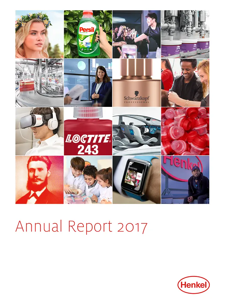 2017年年度报告 (封面)