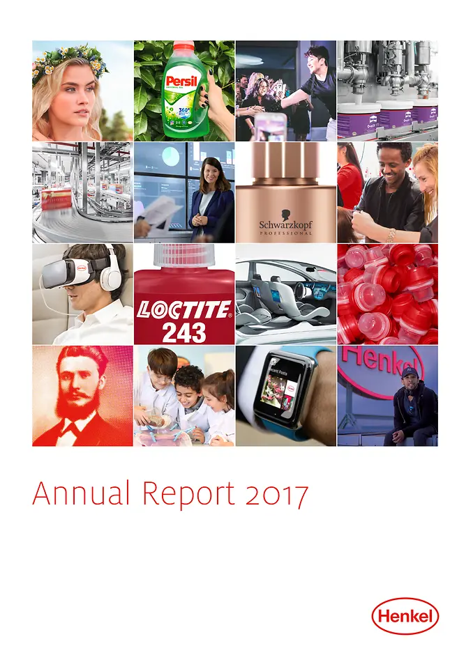 2017年年度报告 (封面)