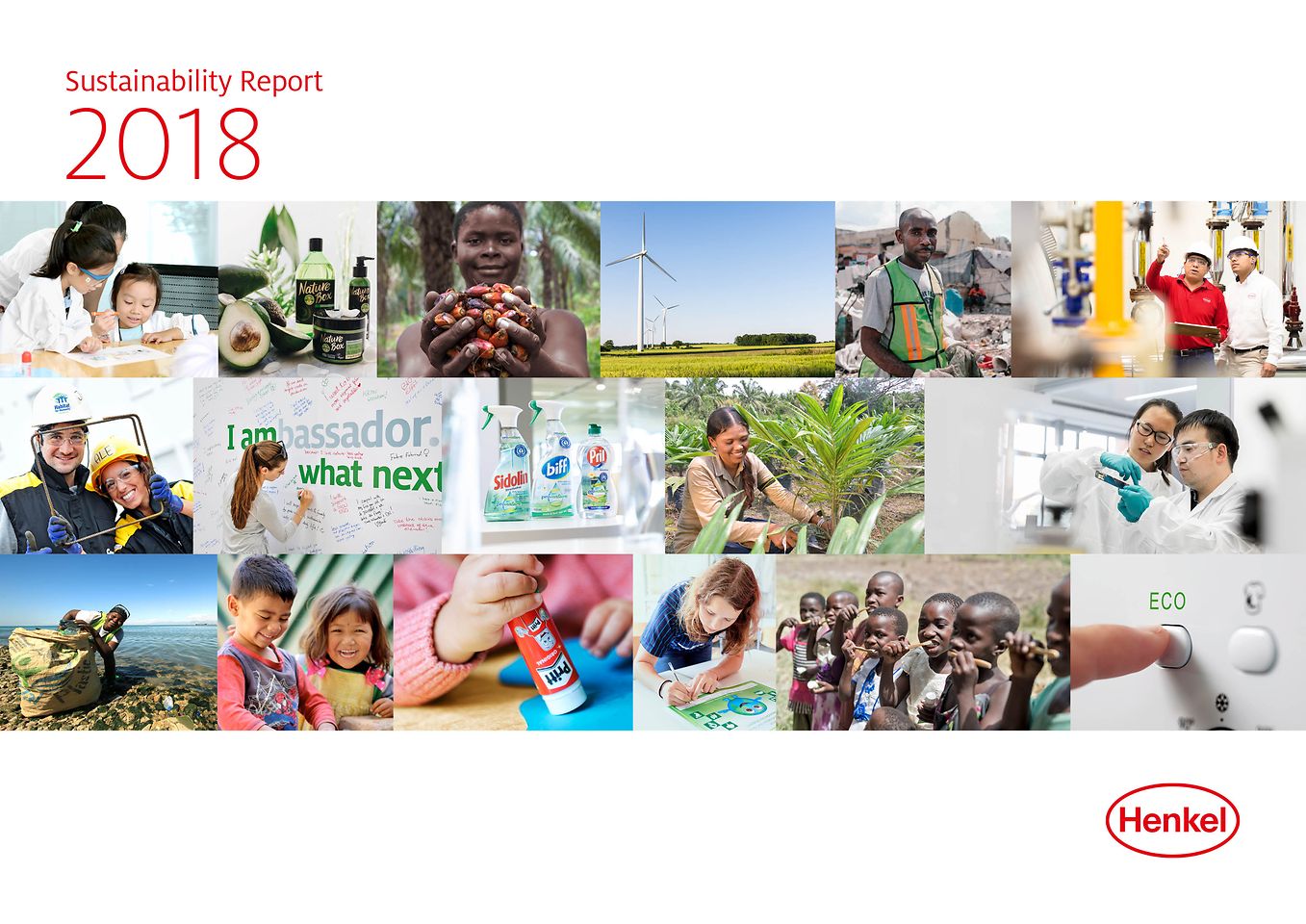 2018年度可持续发展报告 (封面)
